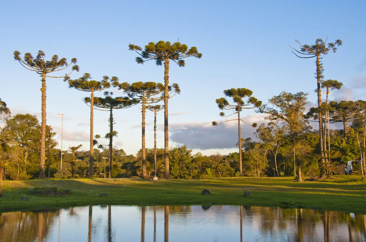 Gramado - Saindo da sua cidade - Imagem 14