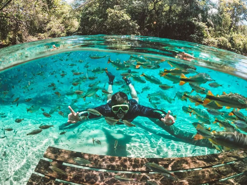 Bonito - Saindo da sua cidade - Imagem 12