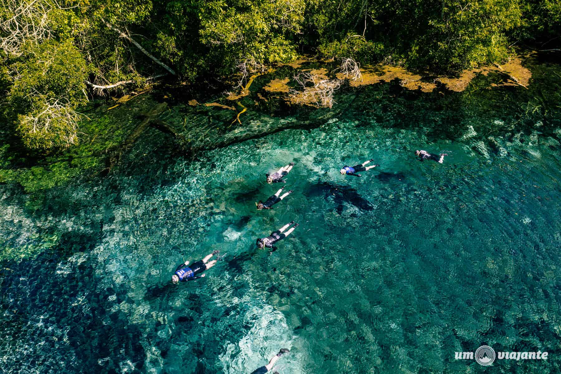 Bonito - Saindo da sua cidade - Imagem 13